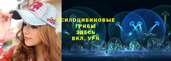 apvp Рославль