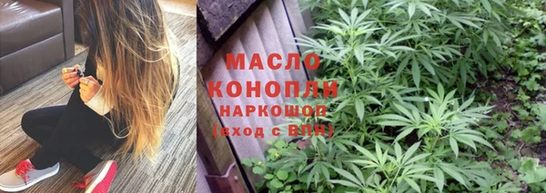 дживик Абинск