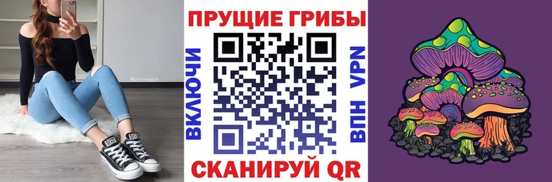 Псилоцибиновые грибы Psilocybine cubensis  blacksprut вход  Истра 